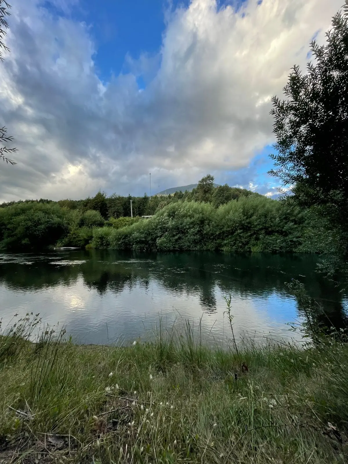 Agua, bosque y montaña en Pucón
